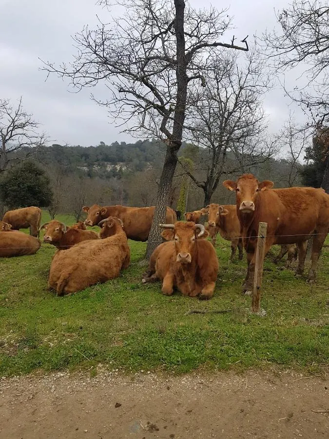 Harveys Homestay - Adults Only Mieres  Country house